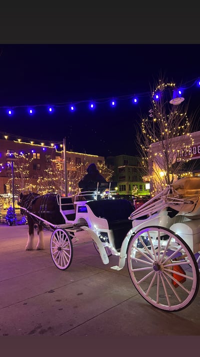 Navigating Seasons of Challenge: A Journey of Renewal