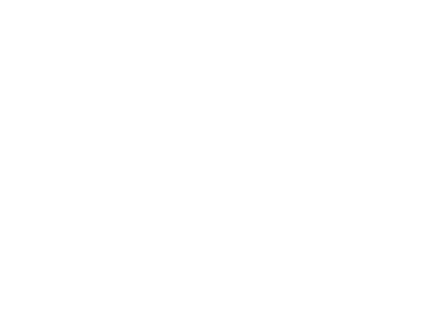 Forbes Next 1000 Honoree