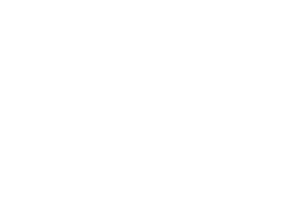 Vistage Logo